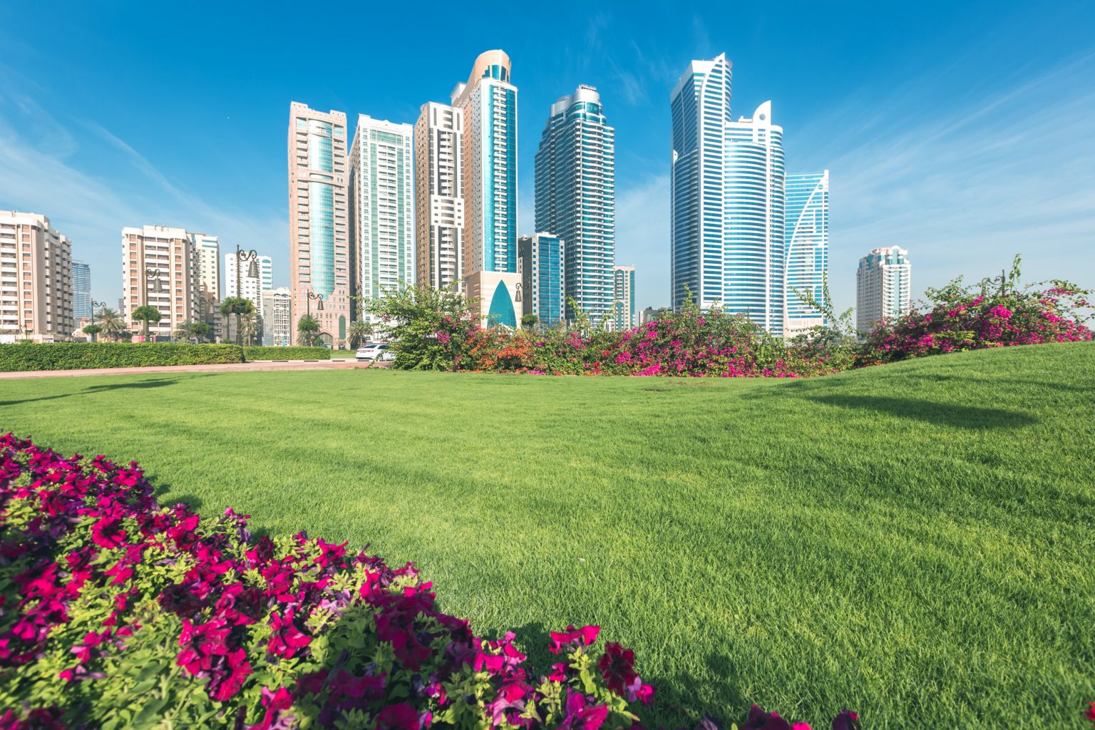 Register a Company in Sharjah – Step by Step Guide for Sharjah Business Setup