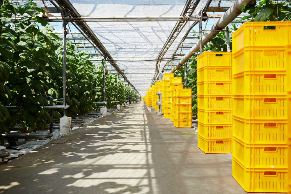 greenhouse equipment supplier uae