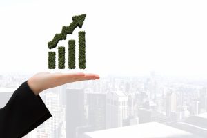 UAE business setup related image