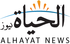 UAE business setup related image