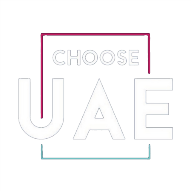 UAE business setup related image